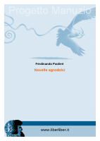 novell_p (1).pdf